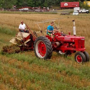 Meet your Posher, Casey